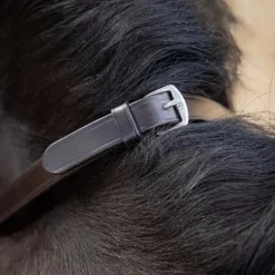 Rênes Et Arrêtoirs De Rênes Poneys|Rênes Et Arrêtoirs De Rênes*LeMieux - Rênes Magna Grip / argent Marron