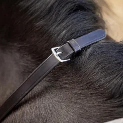 Rênes Et Arrêtoirs De Rênes Poneys|Rênes Et Arrêtoirs De Rênes*LeMieux - Rênes tressées cuir / argent Marron