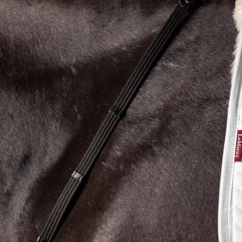 Clearance - Rênes Webbed Continental / argent Rênes Et Arrêtoirs De Rênes Poneys|Rênes Et Arrêtoirs De Rênes