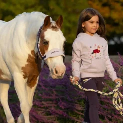 Clearance - Sweat à capuche enfant Mini Romi lilac Enfant Pulls Et Gilets