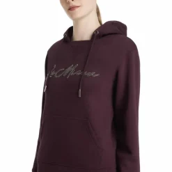 Clearance - Sweat à capuche femme Elspeth damson Pulls Et Gilets