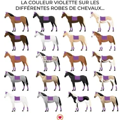 Dressage|Tapis De Selle*LeMieux - Tapis de dressage Loire Memory Satin Violet