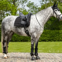 Sale - Tapis de dressage Work Tapis De Dressage|Dressage