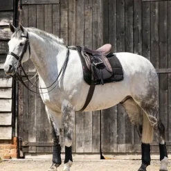 Sale - Tapis de dressage Work Tapis De Dressage|Dressage