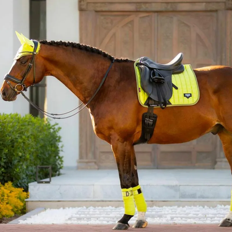 Outlet - Tapis de dressage Loire Classic Square kiwi Dressage|Tapis De Selle