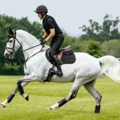 Tapis Cso/ Mixtes|Tapis De Selle*LeMieux - Tapis de selle Close Contact Square Noir