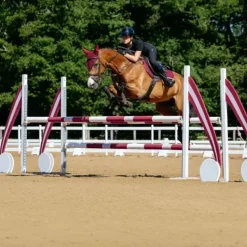 Tapis Cso/ Mixtes|Tapis De Selle*LeMieux - Tapis de selle Close Contact Square Bordeaux