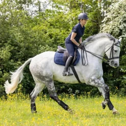 New - Tapis de selle GP Work Tapis De Selle Poneys|Tapis Cso/ Mixtes