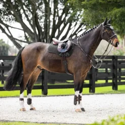 Tapis Cso/ Mixtes|Tapis De Selle*LeMieux - Tapis de selle mixte Pro Sorb Plain 2 Square Noir