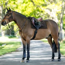 Tapis De Selle Poneys|Tapis Cso/ Mixtes*LeMieux - Tapis de selle Pillow Marron