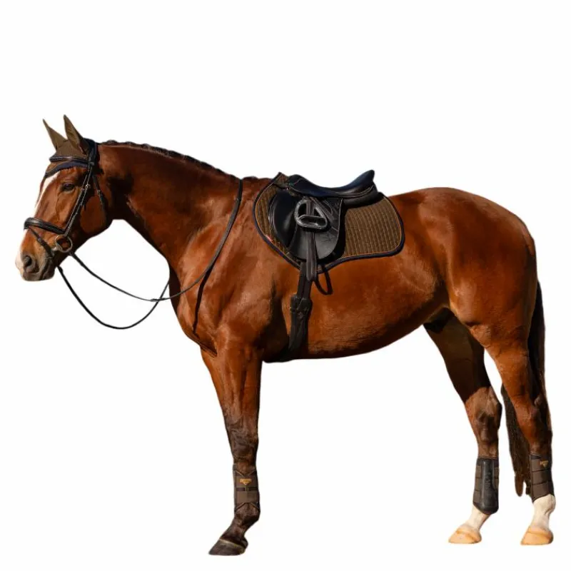 Tapis De Selle|Tapis Cso/ Mixtes*LeMieux - Tapis de selle Square en suédine Alpine kaki/ marron Vert