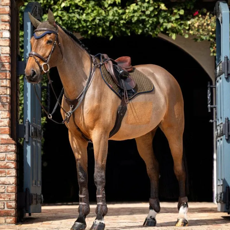 Tapis De Selle|Tapis Cso/ Mixtes*LeMieux - Tapis de selle Square en suédine Alpine kaki/ marron Vert