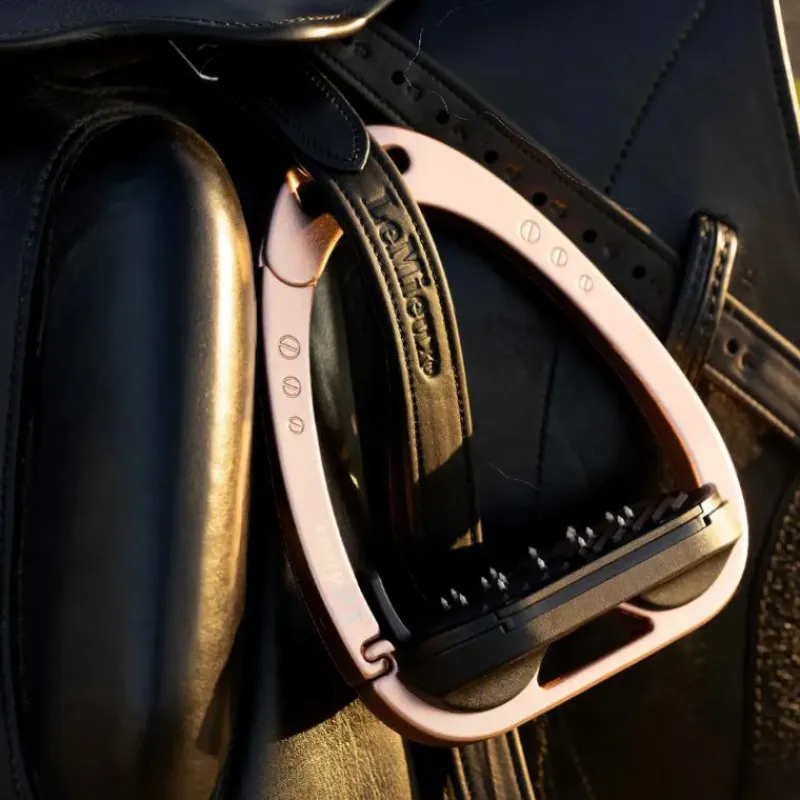 - Étriers de sécurité Vector Control gold Étriers De Sécurité