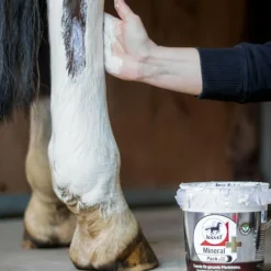 Best - Argile rafraîchissante Mineralpack plus à l'arnica Argiles