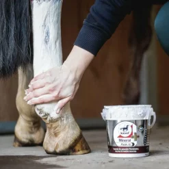 Best - Argile rafraîchissante Mineralpack plus à l'arnica Argiles