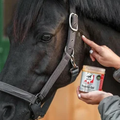 Piqûres Insectes|Désinfectants*Leovet - Gel cicatrisant First Aid Propolis