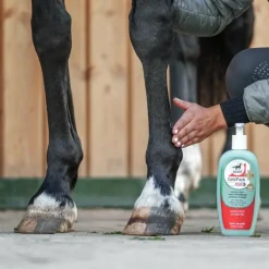 Baumes Et Gels Anti-Inflammatoires*Leovet - Gel rafraîchissant Cold Pack Plus