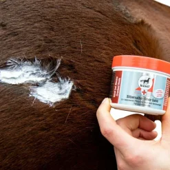 New - Pommade désinfectante et antiseptique à l'argent First Aid Désinfectants