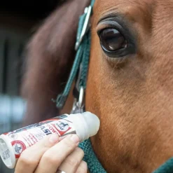 Online - Répulsif insectes Power phaser roll'on Roll-On Anti-Mouches