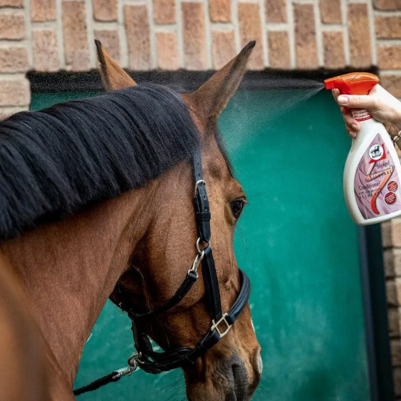 Démêlants*Leovet - Spray démêlant Silkcare