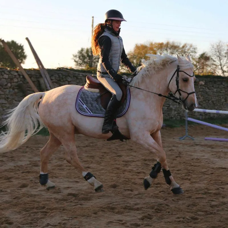 Tapis Cso/ Mixtes|Tapis De Selle*Les poneys de Zoé - Tapis de selle #Ponyboom perle/ violet Gris
