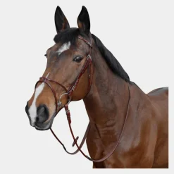 Hot - Bridon Atlanta rond avec rênes Bridons|Cso