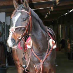 Bridons|Cso*Lexington - Bridon Tucson Croisé avec rênes camel