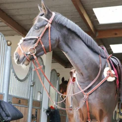 - Collier De Chasse 5 Points Concours Complet D'Equitation|Colliers De Chasse