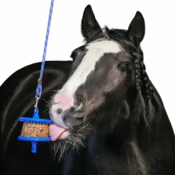 Hot - Friandise pour chevaux pierre granola allégée pomme Friandises Pour Chevaux