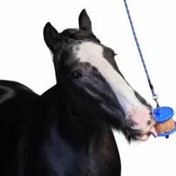 Hot - Friandise pour chevaux pierre granola allégée pomme Friandises Pour Chevaux