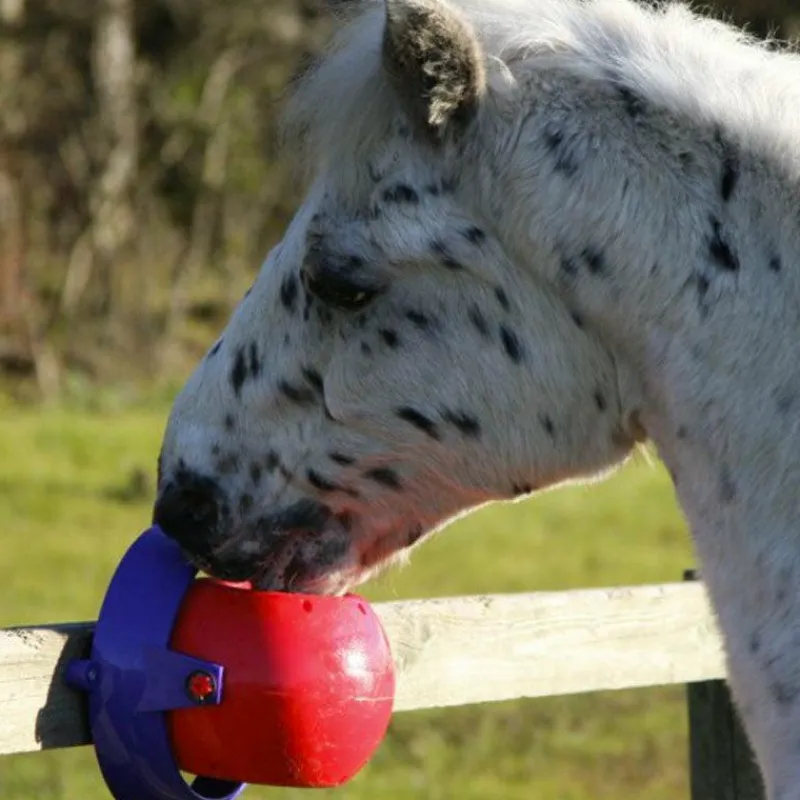 Best - Support de pierre divertissant Tongue Twister Jouets Pour Chevaux