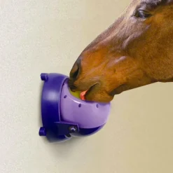 Best - Support de pierre divertissant Tongue Twister Jouets Pour Chevaux