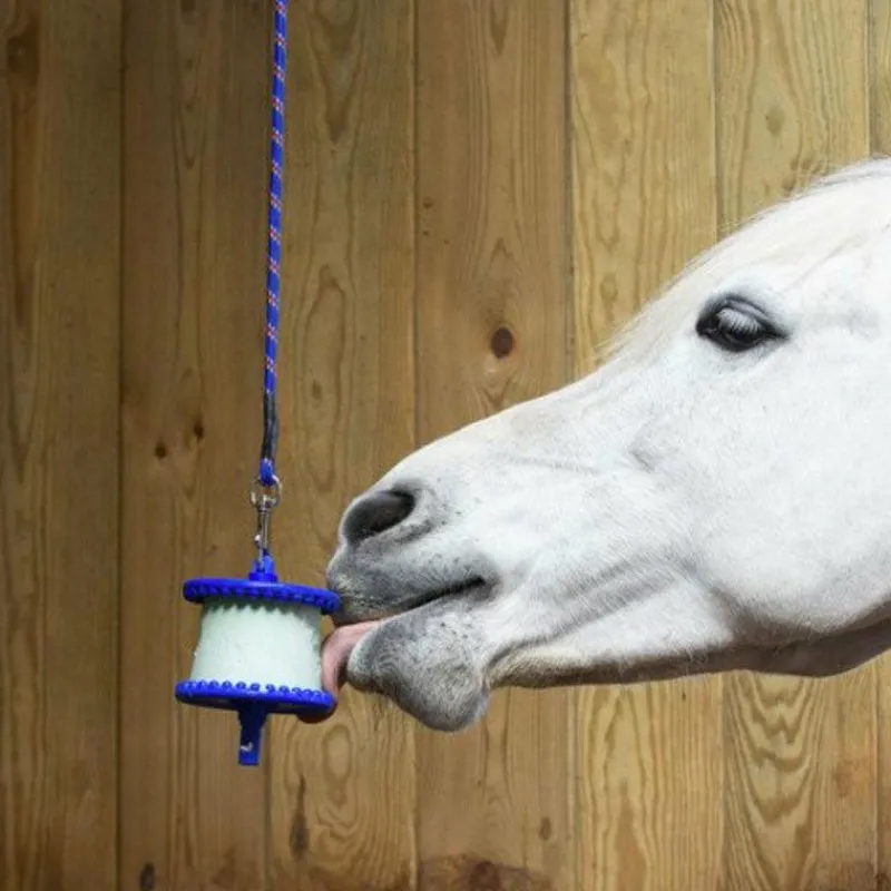 Jouets Pour Chevaux*Likit - Support de pierres à sel divertissant