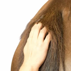 - Baume Bio plantain soulage les démangeaisons Horskin Dermite Estivale