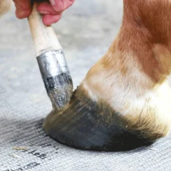 Best - Onguent pour sabots repousse de la corne Active Corne Fourmilières/ Abcès/ Seimes