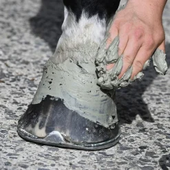 Sale - Argile verte pour tendons natural'recup Argiles