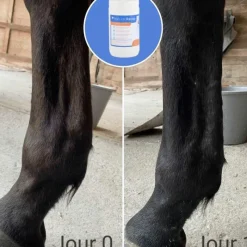 Sale - Argile verte pour tendons natural'recup Argiles