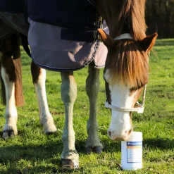 Sale - Argile verte pour tendons natural'recup Argiles