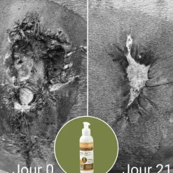 New - Baume cicatrisant Natural'Balm Gale De Boue|Cicatrisants