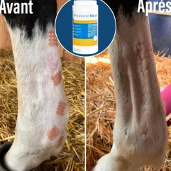 Raideurs Articulaires|Articulaires*Natural' Innov - Complément articulaire Natural'Moov