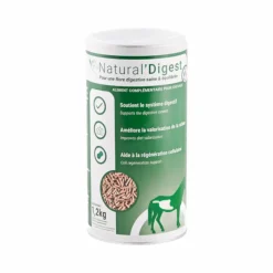Ulcères Gastriques|Perte D'État*Natural' Innov - Complément digestif Natural'Digest