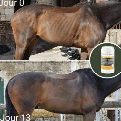 Ulcères Gastriques|Perte D'État*Natural' Innov - Complément digestif Natural'Digest