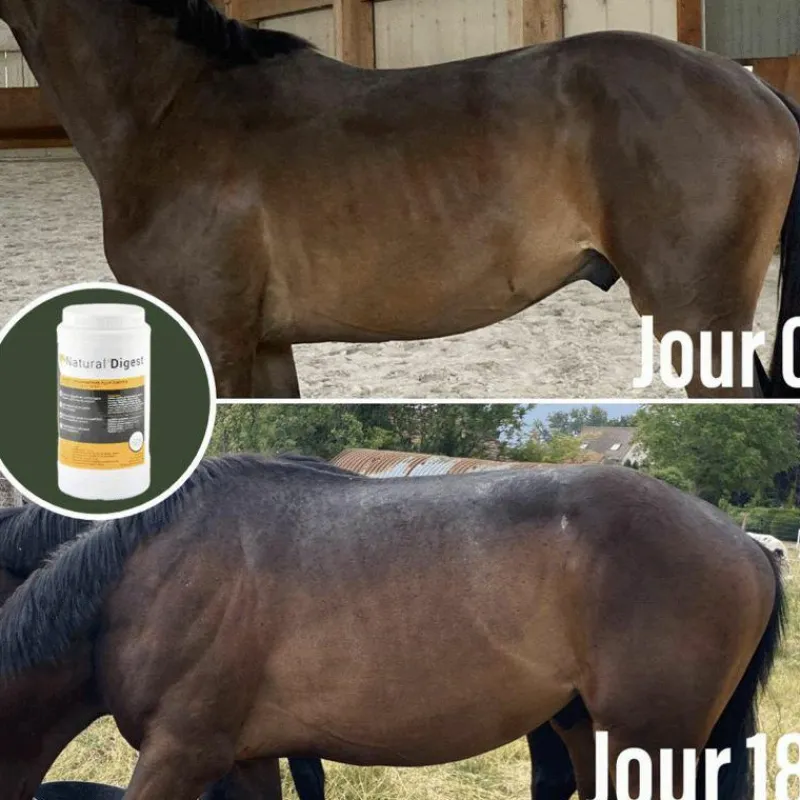 Ulcères Gastriques|Perte D'État*Natural' Innov - Complément digestif Natural'Digest