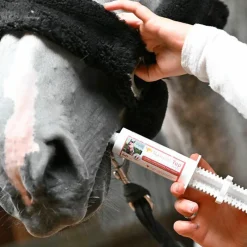 Récupération Musculaire*Natural' Innov - Complément alimentaire seringue Natural'Top Flash Seringue