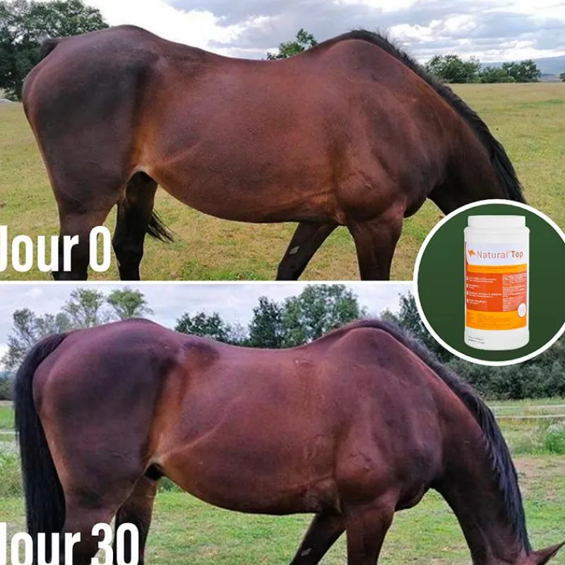 Croissance|Booster*Natural' Innov - Complément alimentaire Natural'Top