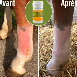 Online - Complément alimentaire Natural' Drain Bien Être|Vieux Chevaux