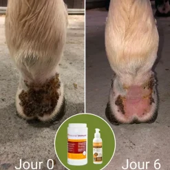 Toutes Les Offres Dlc|Immunitaire*Natural' Innov - Complément alimentaire Natural'Immune