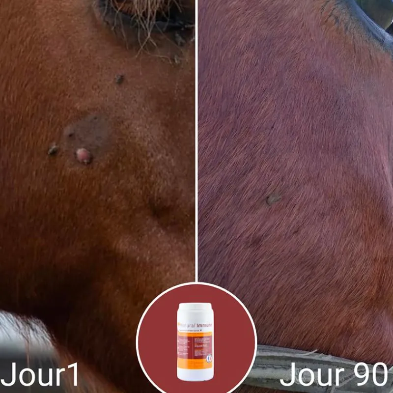 Toutes Les Offres Dlc|Immunitaire*Natural' Innov - Complément alimentaire Natural'Immune