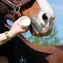 - Crème solaire pour chevaux Natural'Sun Protection Solaire