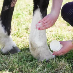 - Crème solaire pour chevaux Natural'Sun Protection Solaire